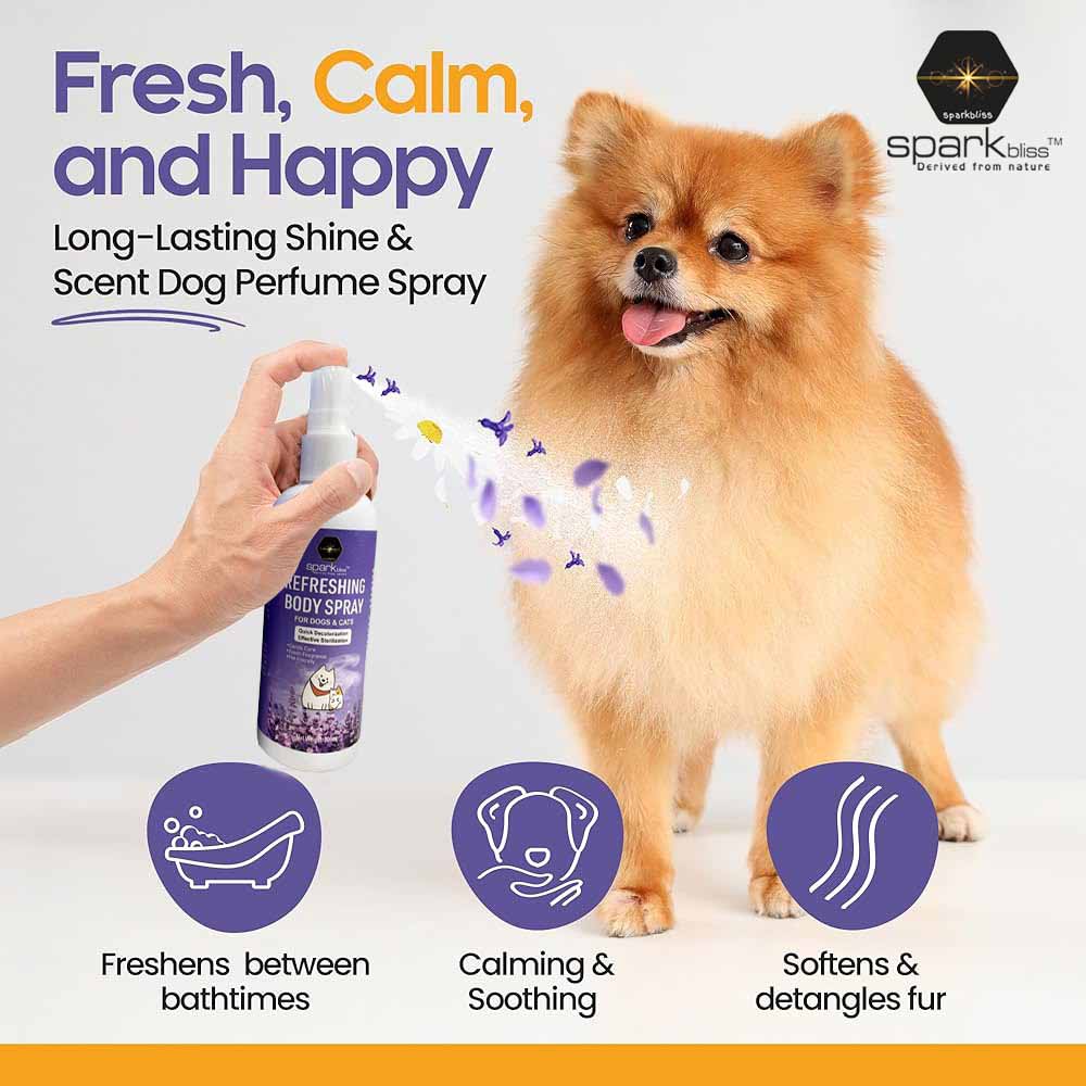 Spark Bliss Pet Body Refreshing 100ml - Lavender